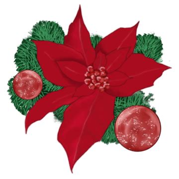 Christmas Poinsettia PNG Image, Christmas Poinsettia Christmas Flower ...