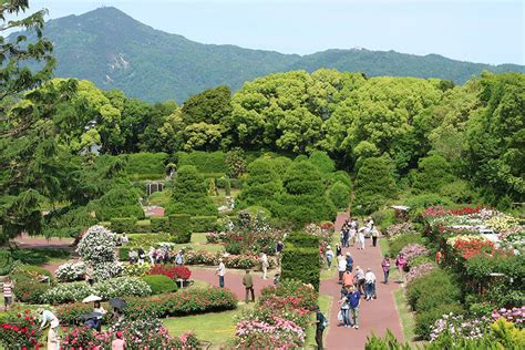 京都府立植物園そうだ 京都行こう