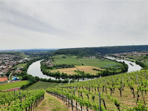 Weekend Hike in the Tollinger Wine Region North of Stuttgart, Germany