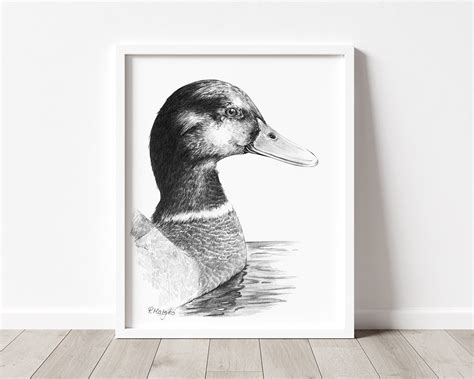 PRINTABLE Mallard Duck Art Print Duck Pencil Drawing Wall Etsy