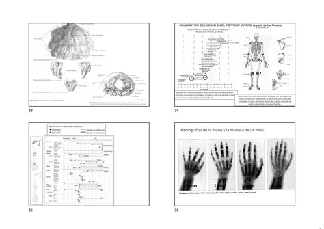 Tema 2 Ciclo Vital Humano1pdf