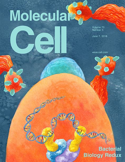 Home Molecular Cell