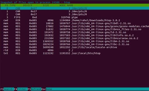 How To Use Htop Command For Process Management In Linux Techsphinx