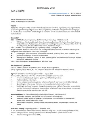 Curriculum Vitae Pdf