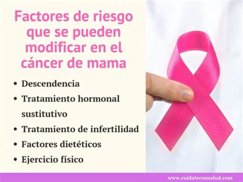 Cómo Se Puede Prevenir El Cáncer De Mama 【guía】 🥇