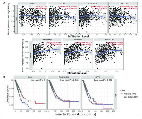 A The Relationship Between Secreted Phosphoprotein Spp