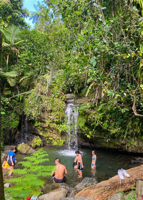 Visiting El Yunque National Forest: Everything You Need To Know ...