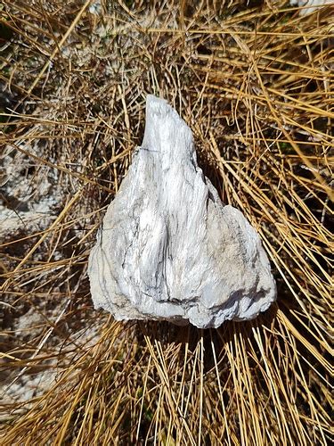 Grammatite Nella Dolomia Saccaroide Al Passo Venett Hikr Org