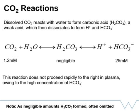 Gas Transport Carbon Dioxide Flashcards Quizlet