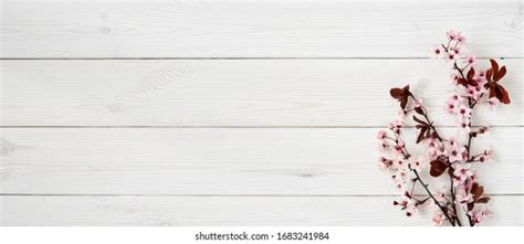 Cluster Spring Pussy Willows On Rough Stock Photo Shutterstock
