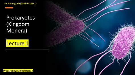 Solution Prokaryoteskingdom Monera All About Bacteria Size Shape