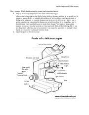 Pre Lab1 Docx Lab 1 Assignment Microscopy Short Answer Briefly But