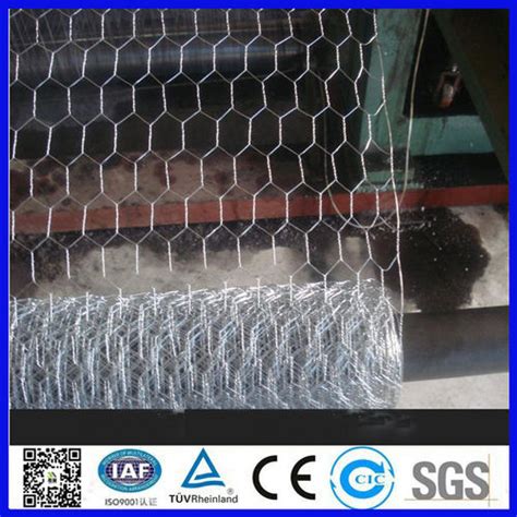 Anping Hexagonal Bird Cage Steel Chicken Wire Netting At Best Price In