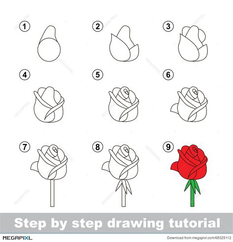 Red Rose Drawing Step Step at PaintingValley.com | Explore collection ...