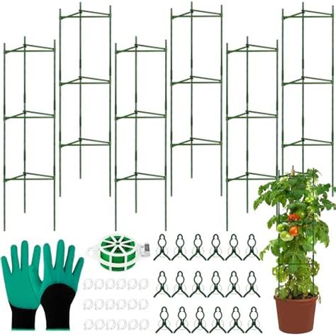 Amazon Hahood 6 Pack Tomato Cages Plant Support Cages Up To 48