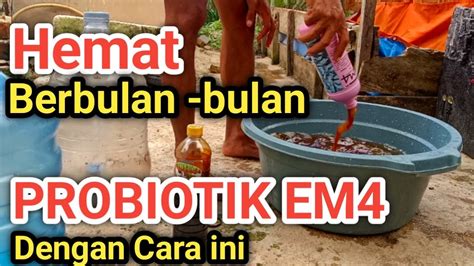 CARA MEMPERBANYAK PROBIOTIK EM4 PERIKANAN Untuk Bibis Pakan Dan Air