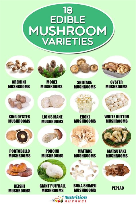 18 Popular Types Of Edible Mushrooms In 2021 Edible Mushrooms