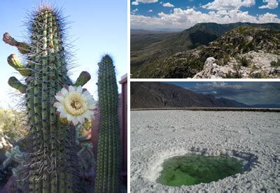 Mountains and Basins - Regions of Texas