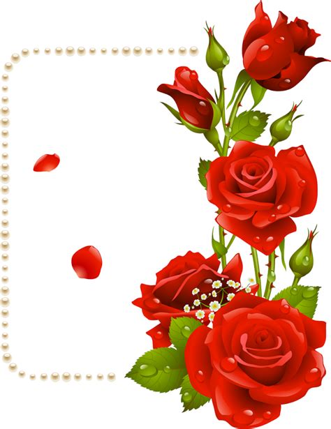 Rose Flower Clip art - red rose border png download - 788*1024 - Free ...