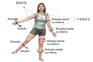 Movimentos Do Corpo Humano Anatomia Papel E Caneta