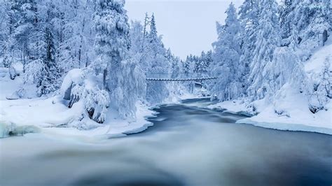 Śnieg Finlandia Las Park Narodowy Oulanka Most Rzeka Kitkajoki