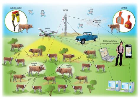 Iot Dan Smart Livestock Farming Untuk Tingkatkan Efisiensi Usaha