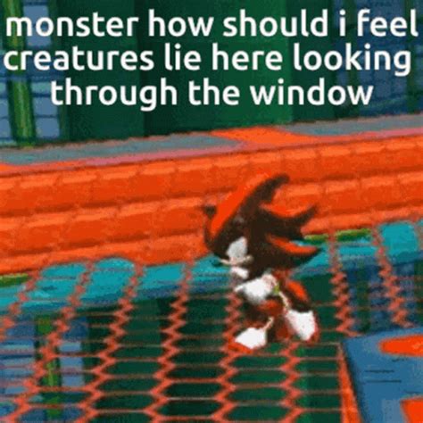 shadow  hedgehog shadow gif shadow  hedgehog shadow shadow