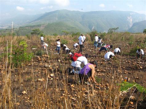 El Suelo Recurso Para La Vida Comisi N Nacional De Reas Naturales