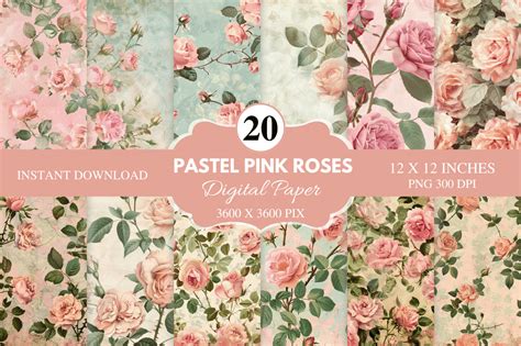 Pastel Pink Roses Digital Paper Bundle Graphic By Regulrcrative