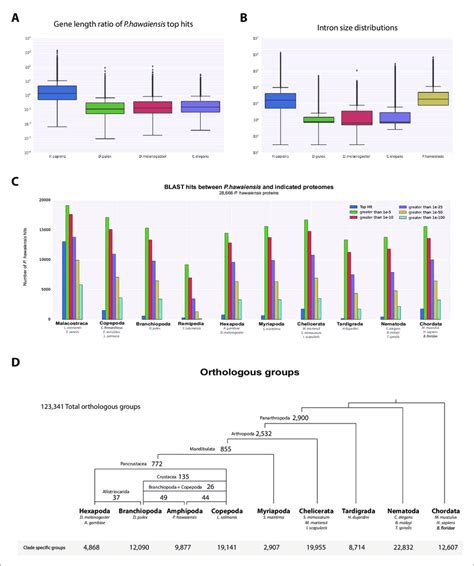 Parhyale Genome Comparisons A Box Plots Comparing Gene Sizes Between