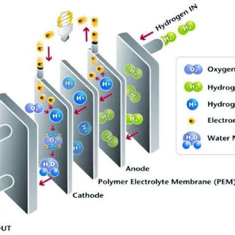 Schematic Illustration Of A Pemfc Which Comprises Of An Anode And A