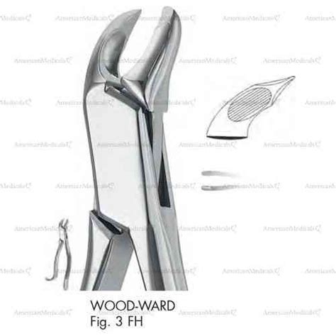 Woodward Extracting Forceps For Lower Molars American Pattern Figure 3fh