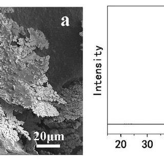 A Sem Image Of As Synthesized Cu Nanosheets And B Xrd Pattern Of