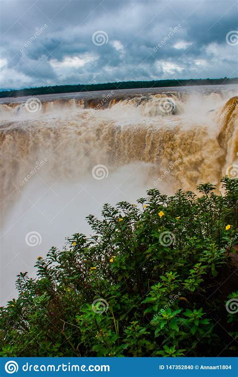 Ponto De Vista Bonita De Foz De Igua U Peurto Iguazu Argentina Local