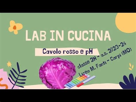 Lab In Cucina Cavolo Rosso E Ph Youtube