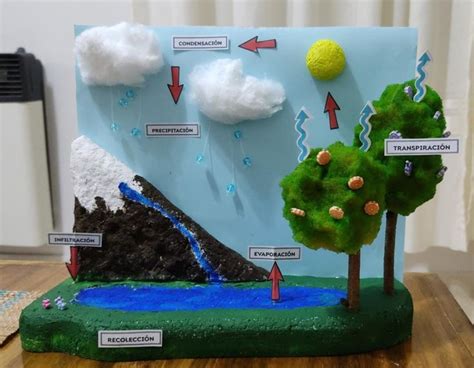 Maqueta Ciclo Del Agua