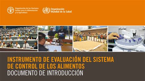 INSTRUMENTO DE EVALUACIÓN del sistema de control de alimentos socumento pdf