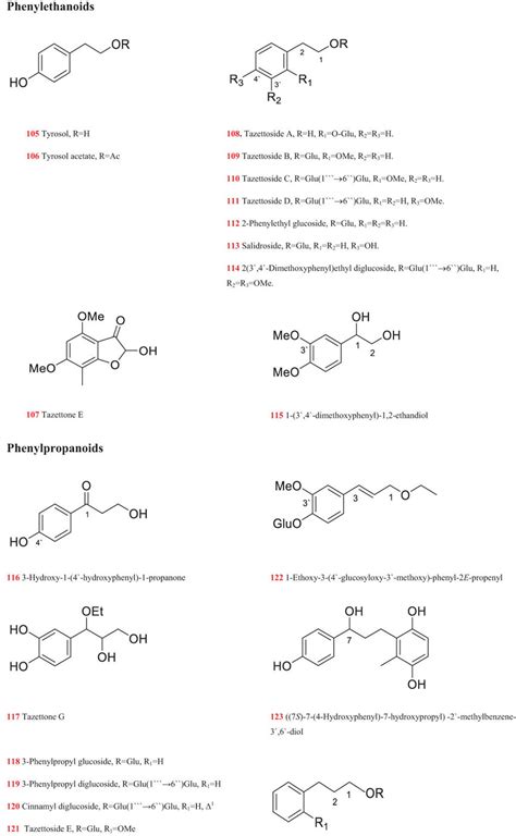 Phenylethanoids and phenylpropanoids. | Download Scientific Diagram