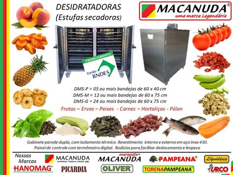 DESIDRATADORA INDUSTRIAL DE TOMATE MACANUDA Estufa CIMM