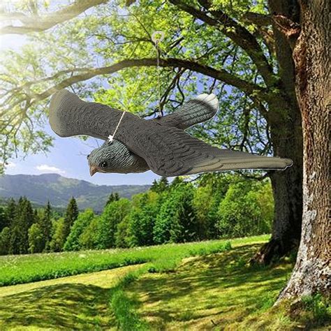 Flying Hawk Pest Control