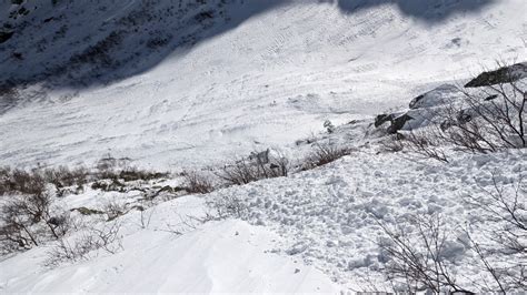 Skier Triggered Avalanche Sluice Tuckerman Ravine Mount Washington