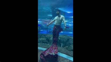 Chàng tiên cá bỗng hot rần rần tại Trung Quốc thành hiện tượng sau một đêm