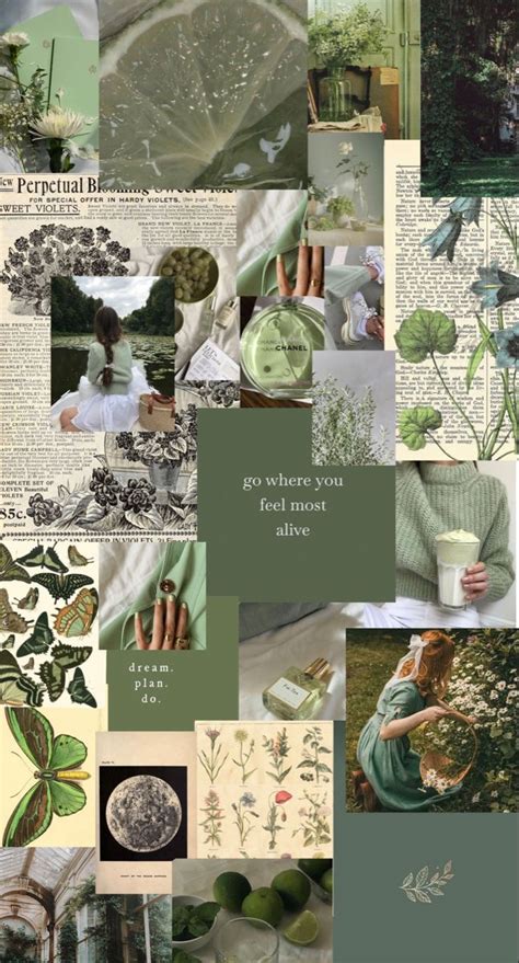 Sage Green Aesthetic Papel De Parede Verde Imagem De Fundo Para