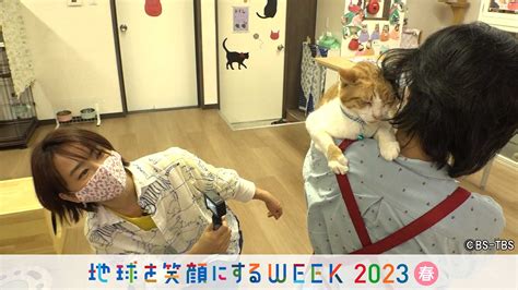 Bs Tbs On Twitter ⏰明日517水よる11時 「ねこ自慢」 Nekojimanbs6ch 🐱八代亜紀 さんが