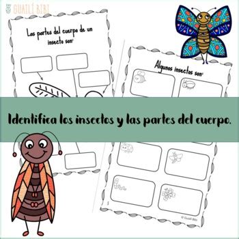 Mi Libro De Los Insectos My Insect Book In Spanish By Guaili Bibi