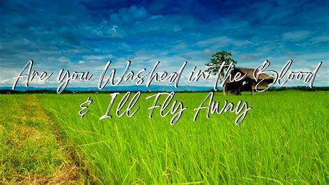 Are You Washed In The Blood I Ll Fly Away Lyric Video Karaoke