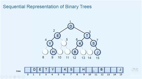 005 Array Representation Of Binary Trees Youtube