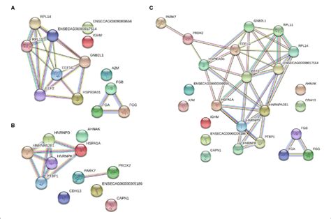 Protein Protein Interaction Analysis Of Significantly Differentially