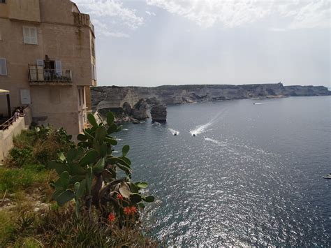 Falaises De Bonifacio Falaise Bonifacio Corse Du Sud Corse