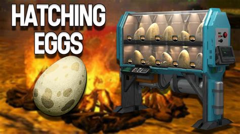 Ark Survival Evolved How To Hatch Eggs Easily